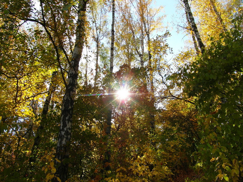 Фотографія Осінь. / Павло Філіпенков / photographers.ua