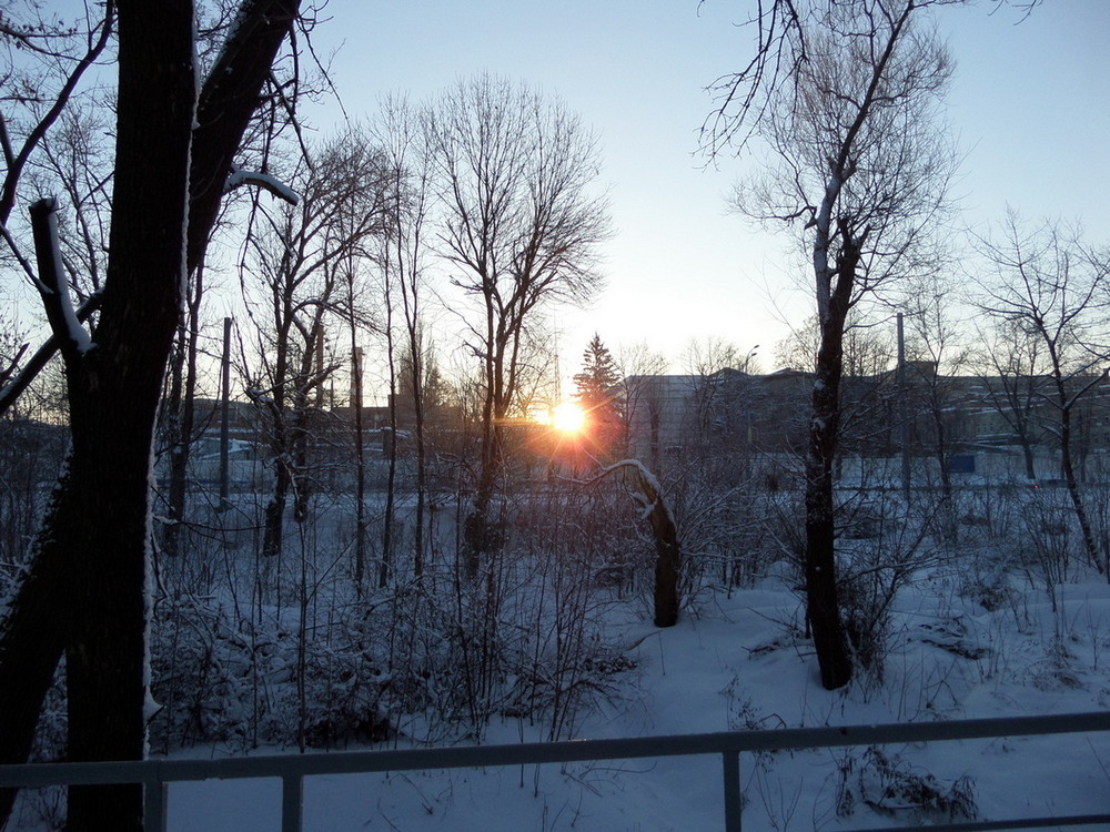 Фотографія Сонячний ранок. / Павло Філіпенков / photographers.ua