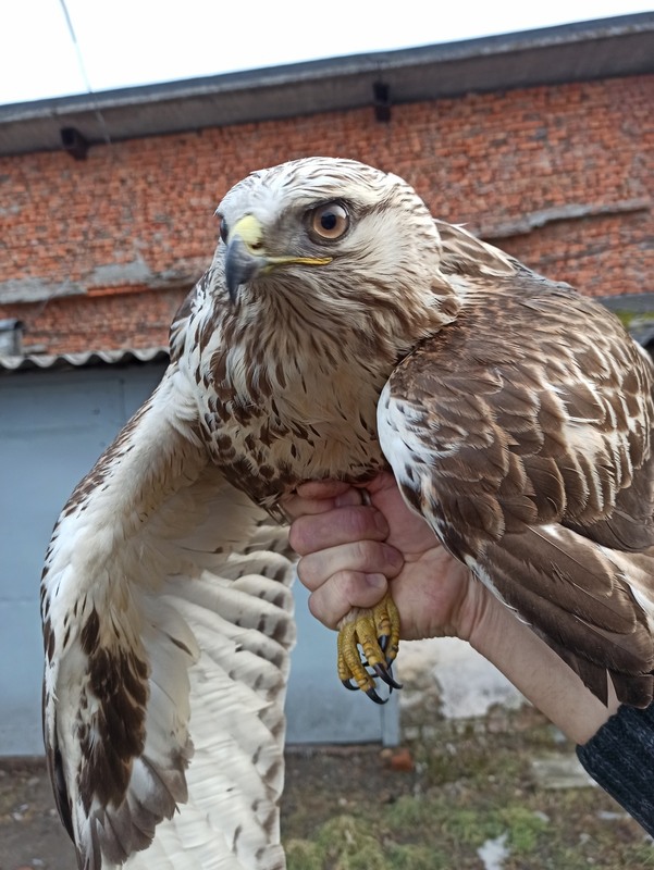 Фотографія "В моїх надійних руках..". / Павло Філіпенков / photographers.ua