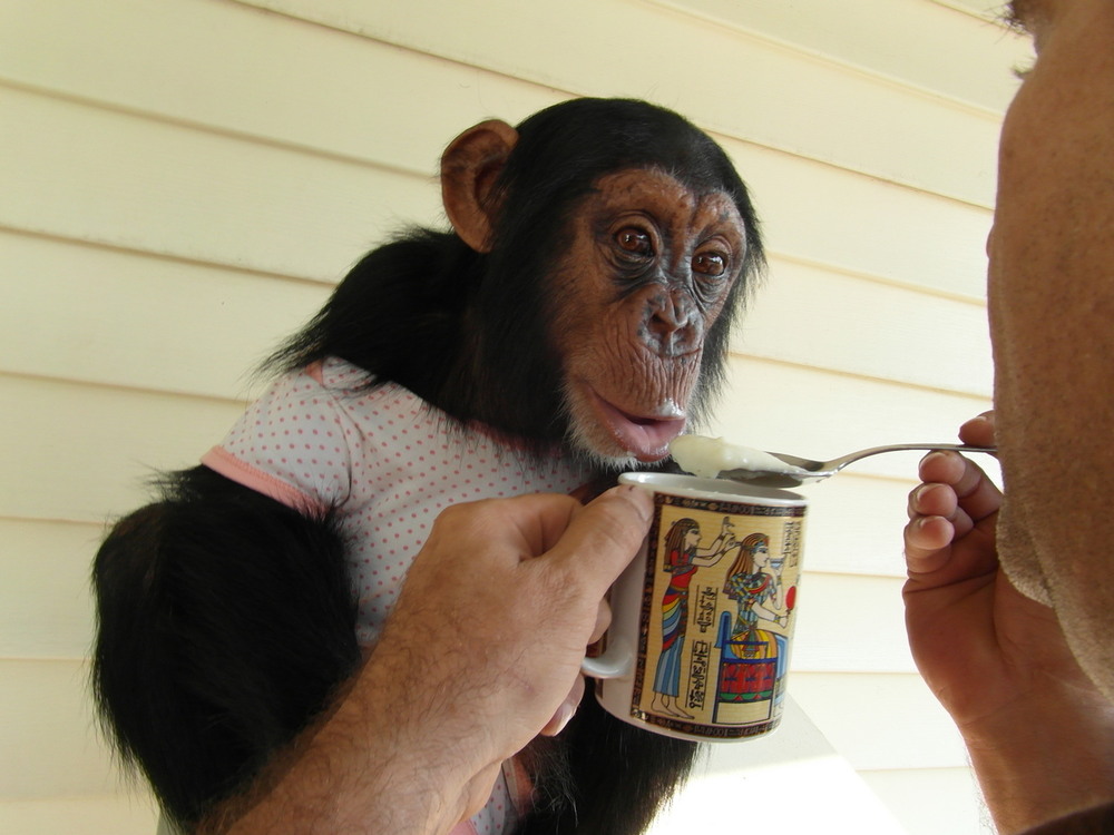 Фотографія "За маму.." / Павло Філіпенков / photographers.ua
