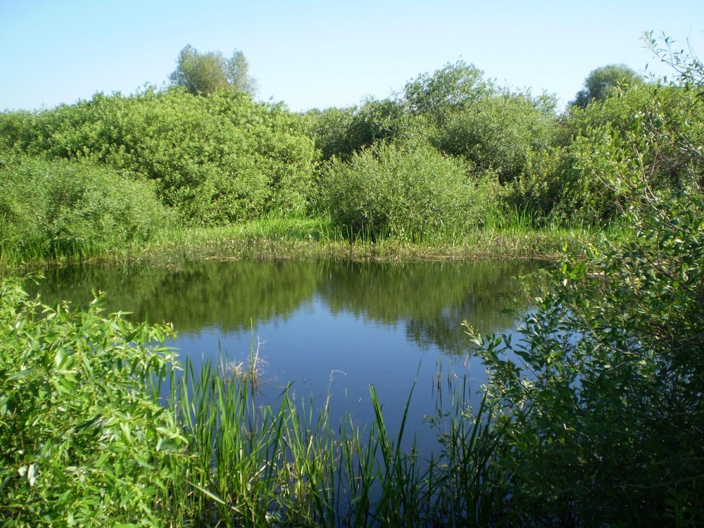 Фотографія Кльове місце. / Павло Філіпенков / photographers.ua