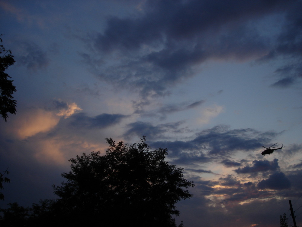 Фотографія В вечірньому небі.. / Павло Філіпенков / photographers.ua