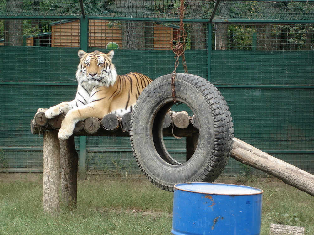 Фотографія Під ранковим сонечком.. / Павло Філіпенков / photographers.ua