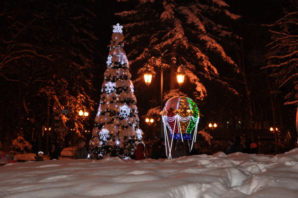 Фотографія Новогодняя елка. / Павло Філіпенков / photographers.ua