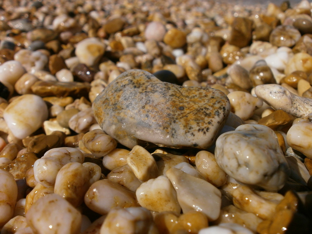 Фотографія Морьські камінці.. / Павло Філіпенков / photographers.ua