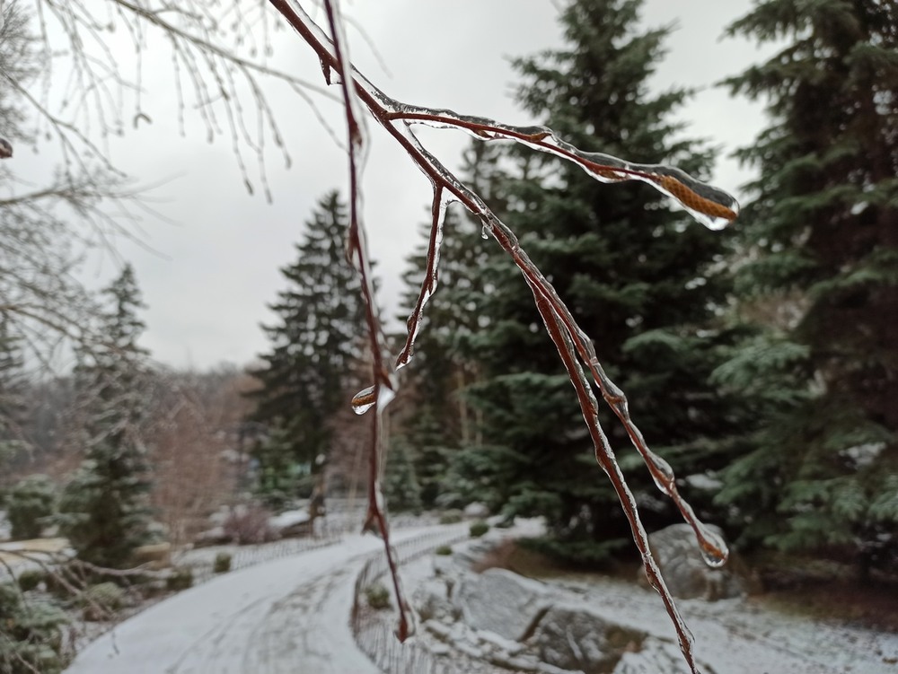 Фотографія Зимні бурульки. / Павел Филипенков / photographers.ua