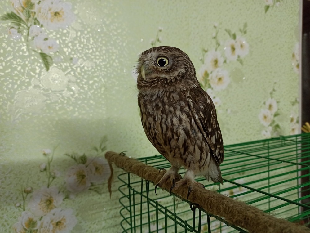 Фотографія Сич "Чунька" / Павло Філіпенков / photographers.ua