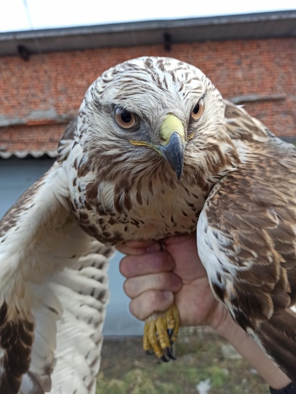 Фотографія На прогулянці.. / Павло Філіпенков / photographers.ua