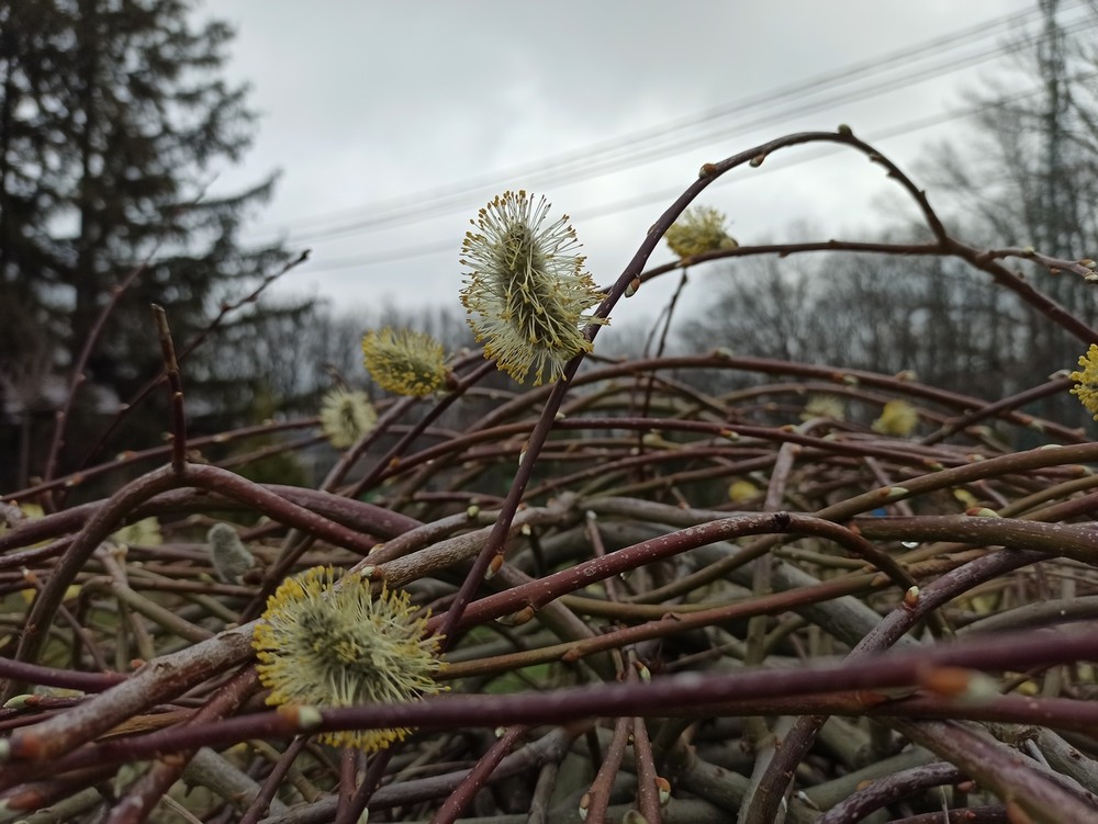 Фотографія *** / Павло Філіпенков / photographers.ua
