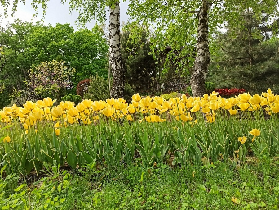 Фотографія Весна. / Павло Філіпенков / photographers.ua