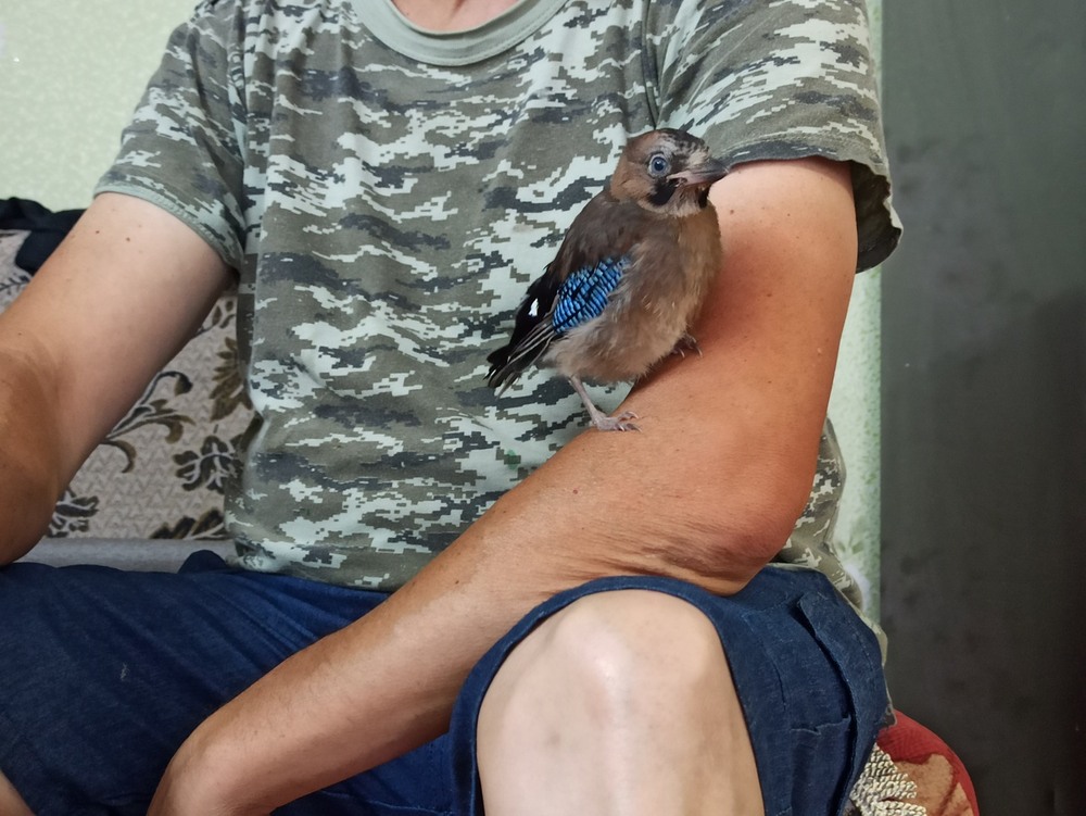 Фотографія Посиділки... / Павло Філіпенков / photographers.ua