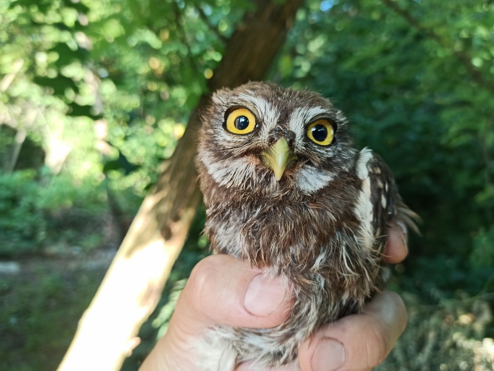 Фотографія Довгоочікувана воля.. / Павло Філіпенков / photographers.ua
