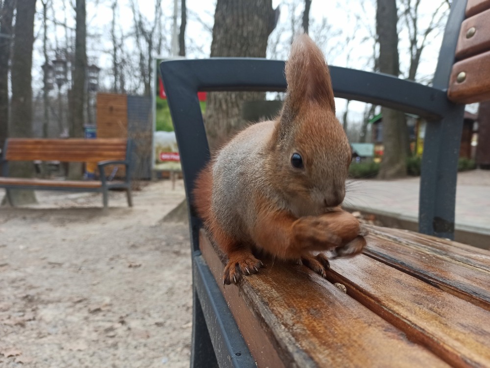 Фотографія Вкуснятинка. / Павло Філіпенков / photographers.ua