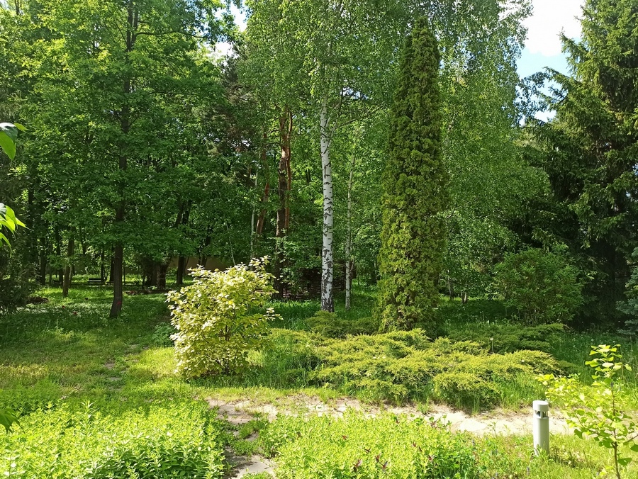 Фотографія Літня пора. / Павло Філіпенков / photographers.ua