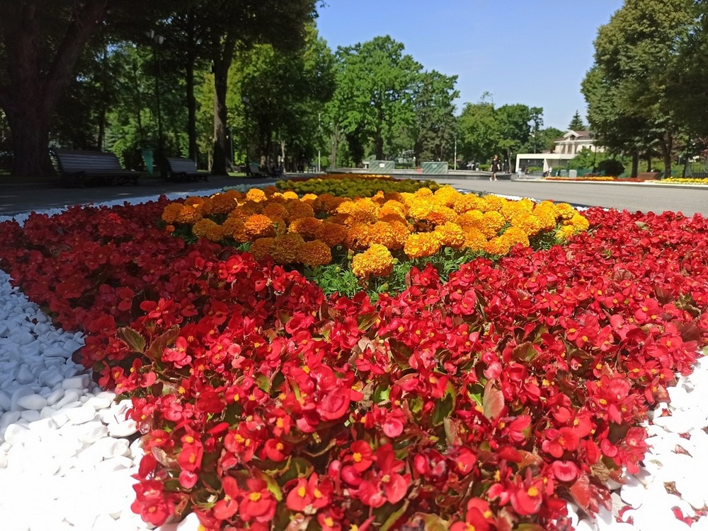 Фотографія Квіти. / Павло Філіпенков / photographers.ua