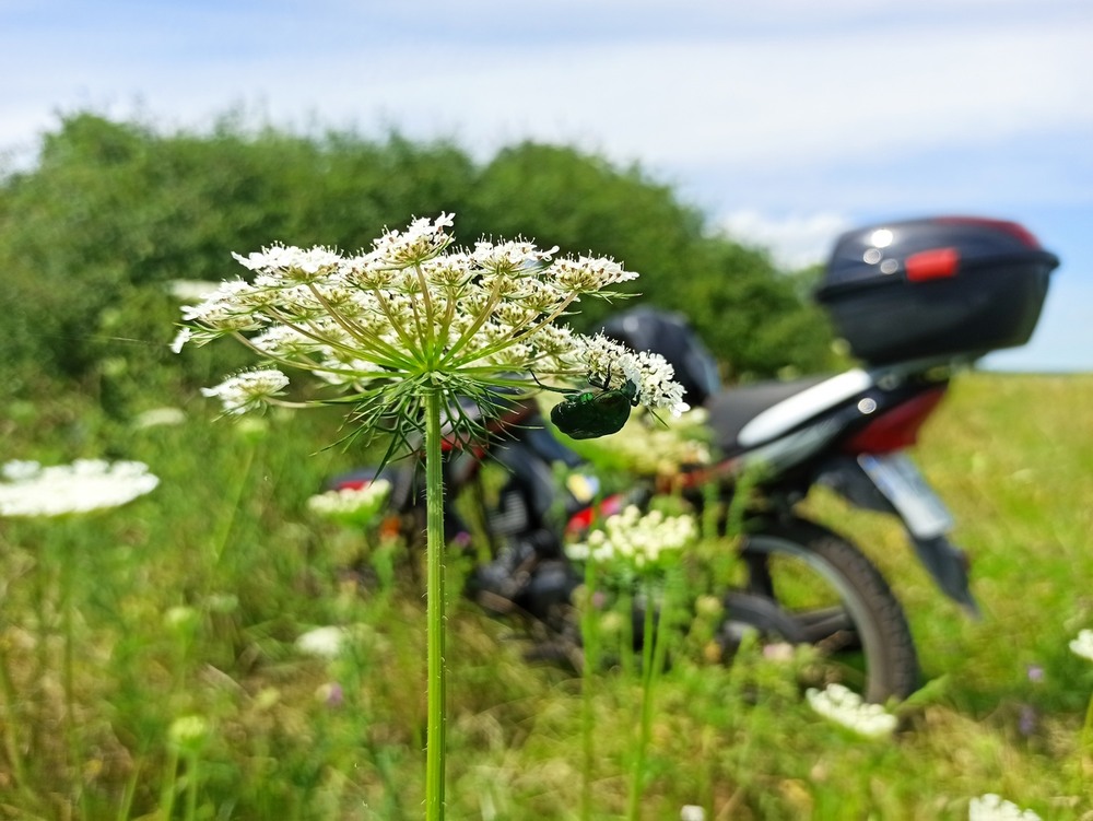 Фотографія *** / Павло Філіпенков / photographers.ua