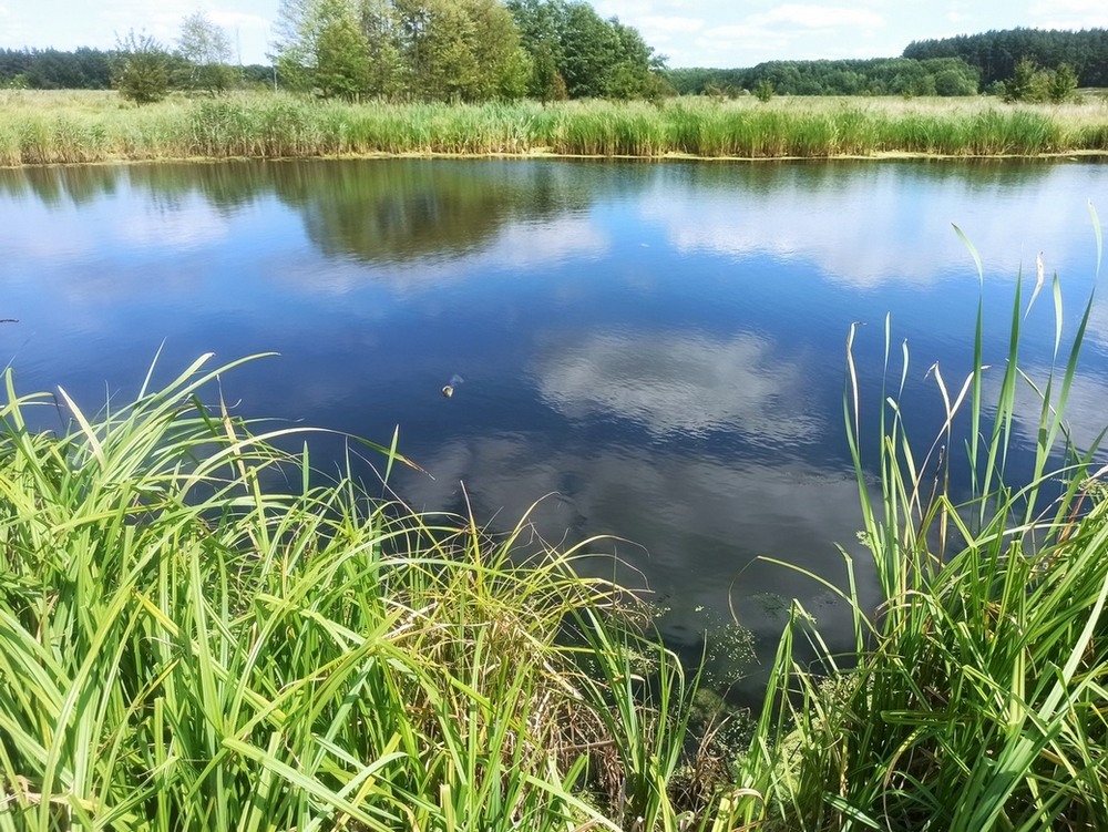 Фотографія *** / Павло Філіпенков / photographers.ua