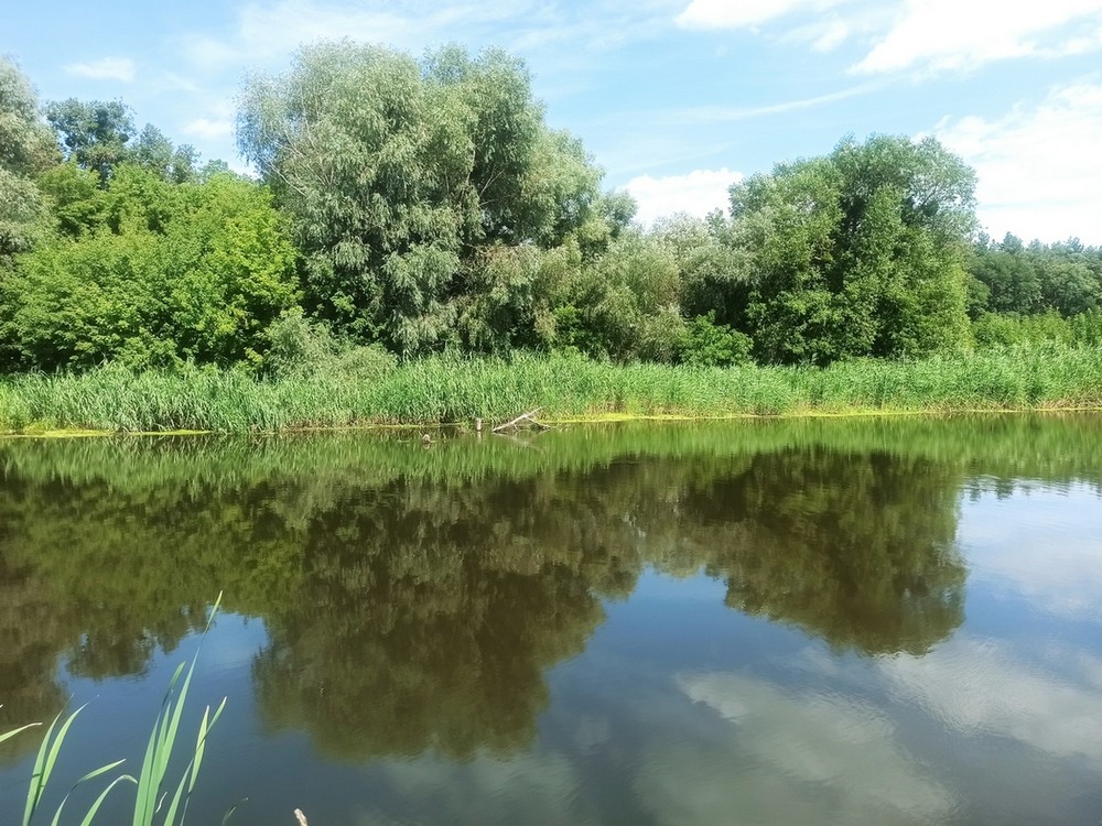 Фотографія Водойма. / Павло Філіпенков / photographers.ua