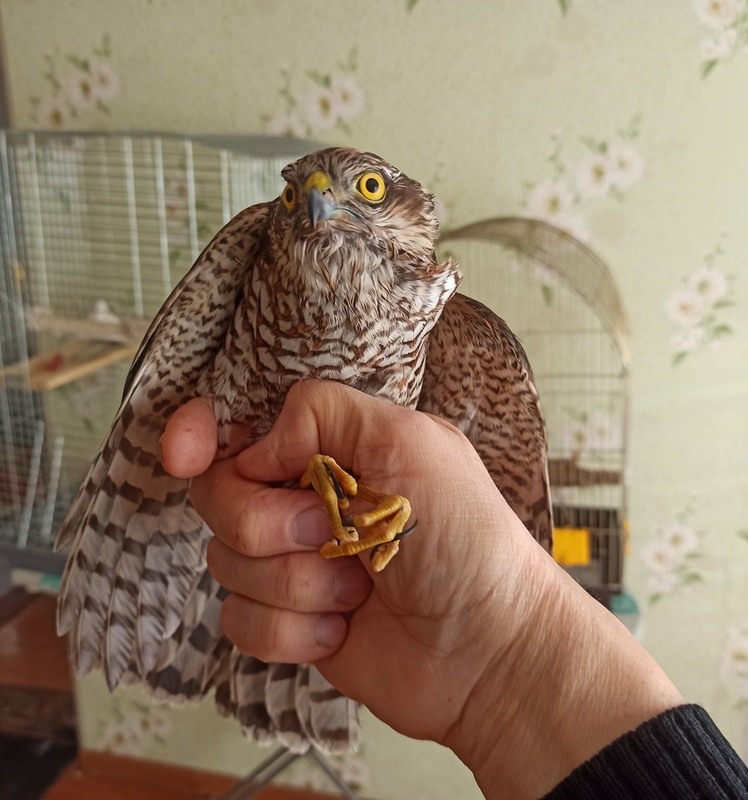 Фотографія Фото на згадку.. / Павло Філіпенков / photographers.ua