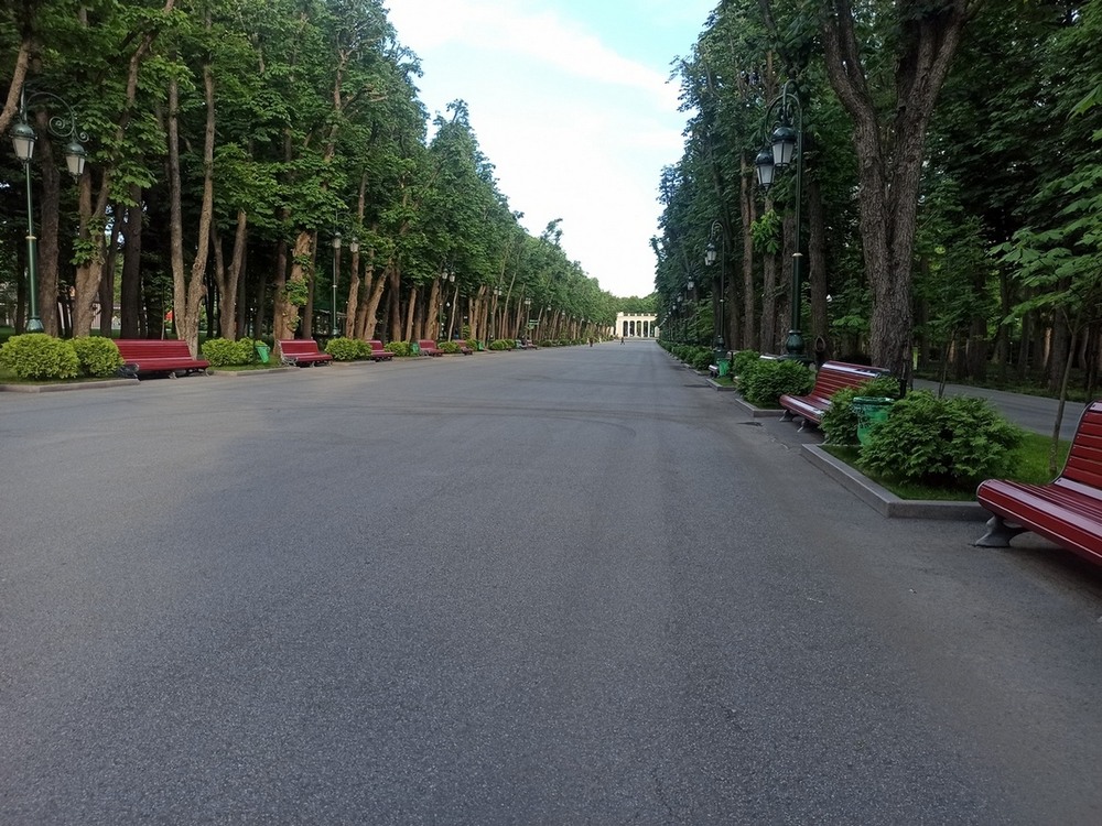 Фотографія Паркова алея. / Павло Філіпенков / photographers.ua