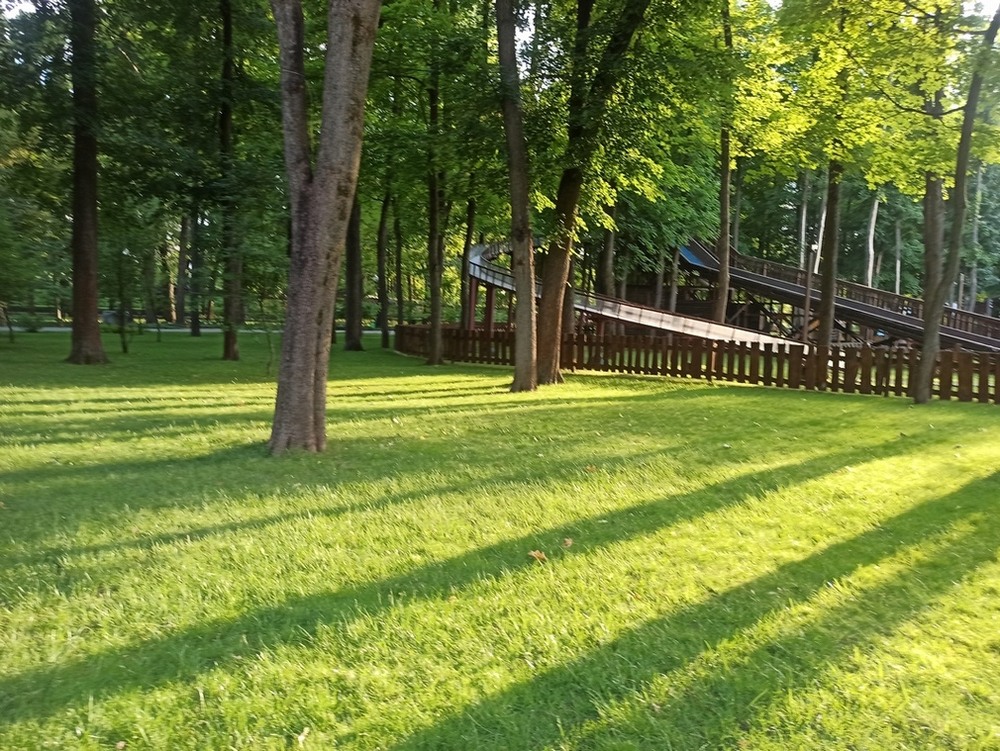 Фотографія Сонячний ранок в парку. / Павло Філіпенков / photographers.ua