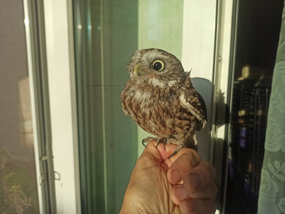 Фотографія Зустріч ранкового сонця... / Павло Філіпенков / photographers.ua