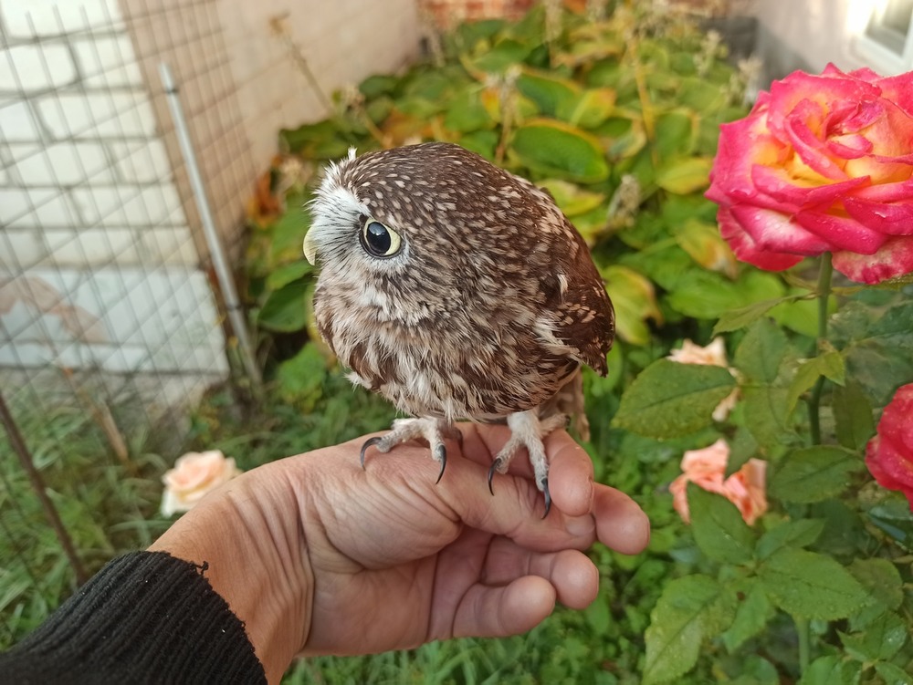 Фотографія Ранкові посиділки.. / Павло Філіпенков / photographers.ua