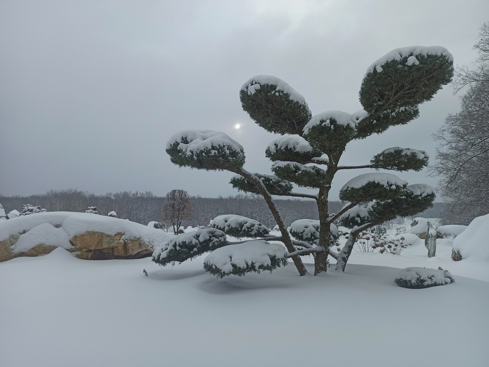 Фотографія Зима.. / Павло Філіпенков / photographers.ua