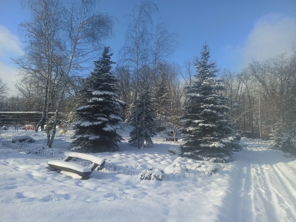 Фотографія Зимовий єтюд.. / Павло Філіпенков / photographers.ua