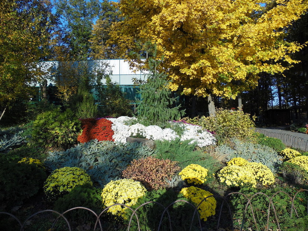 Фотографія Фарби осені.. / Павло Філіпенков / photographers.ua