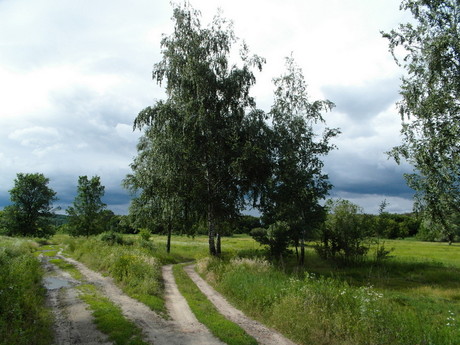 Фотографія На роздоріжжі... / Павло Філіпенков / photographers.ua