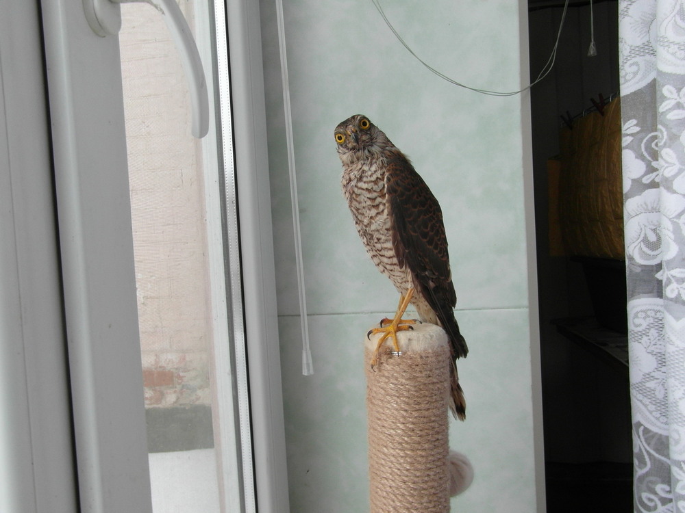 Фотографія Під ранковим сонечком.. / Павло Філіпенков / photographers.ua