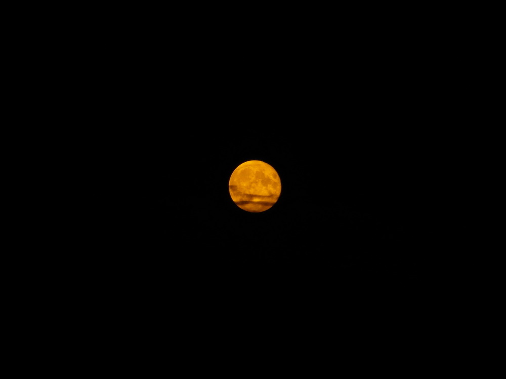 Фотографія Тривожний повний місяць. / Павло Філіпенков / photographers.ua