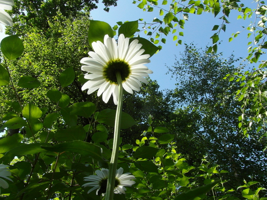 Фотографія Ранкове пробудження.. / Павло Філіпенков / photographers.ua