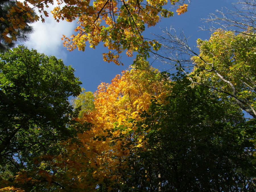 Фотографія Осінь. / Павло Філіпенков / photographers.ua
