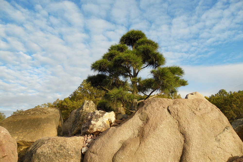 Фотографія "Долина каменів". / Павло Філіпенков / photographers.ua