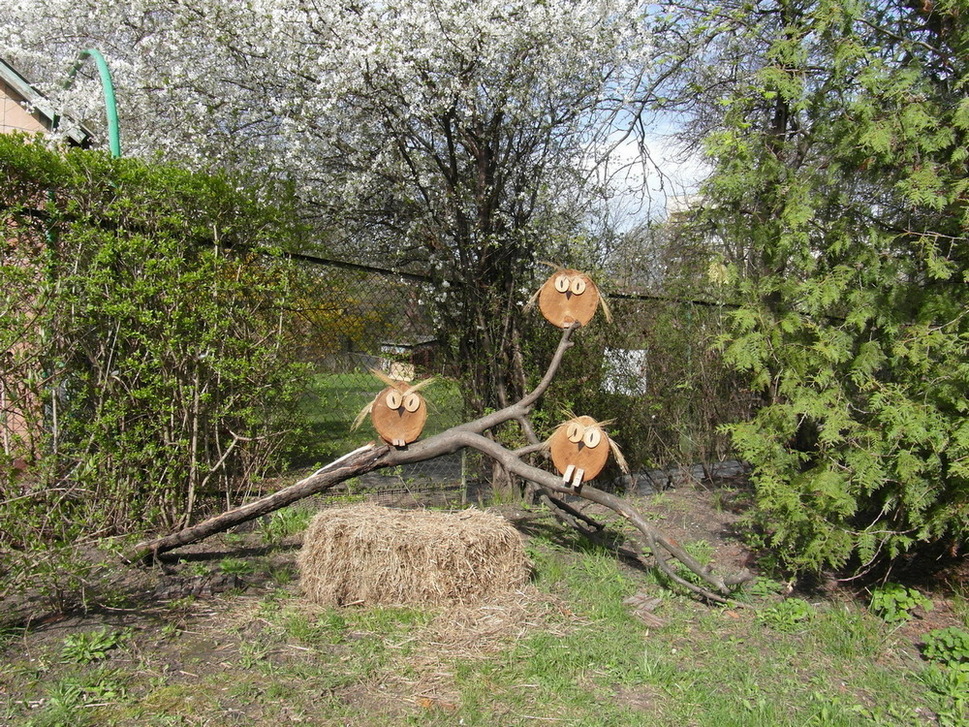 Фотографія *** / Павло Філіпенков / photographers.ua