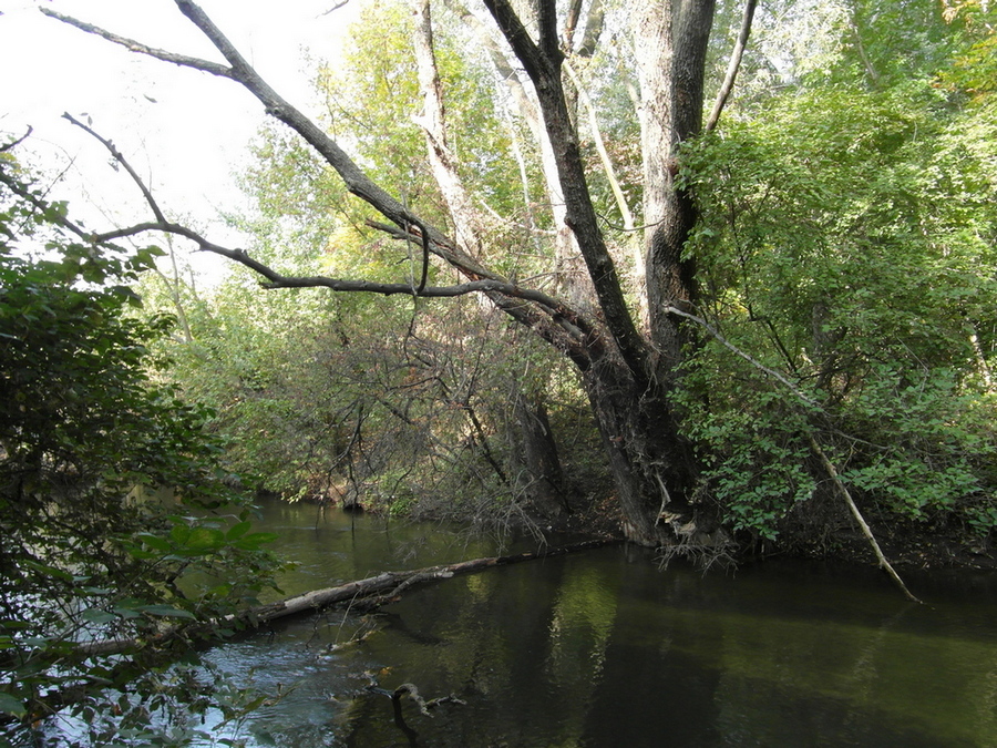 Фотографія Старе русло річки. / Павло Філіпенков / photographers.ua