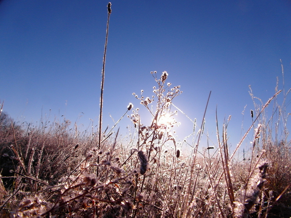 Фотографія *** / Павло Філіпенков / photographers.ua