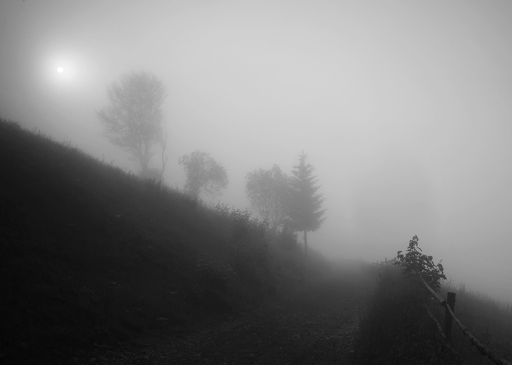 Фотографія Сильний туман / Vadym Bidun / photographers.ua