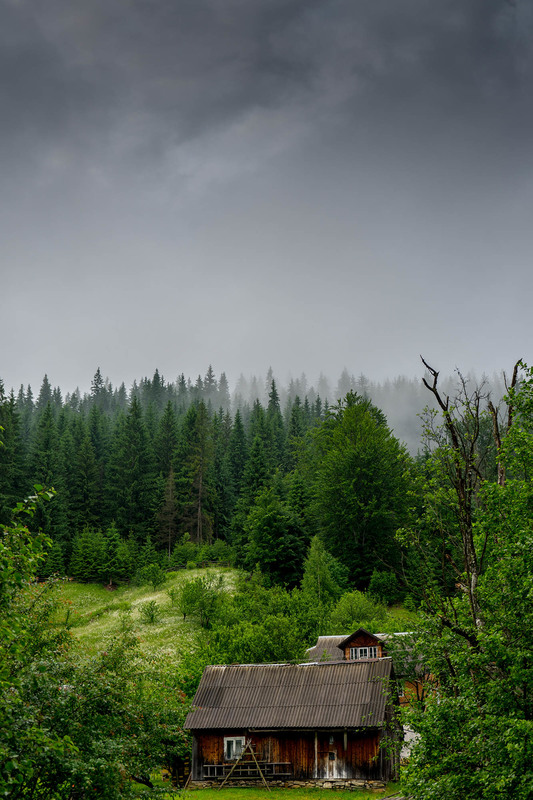 Фотографія Карпати після дощу / Александр Дидыченко / photographers.ua