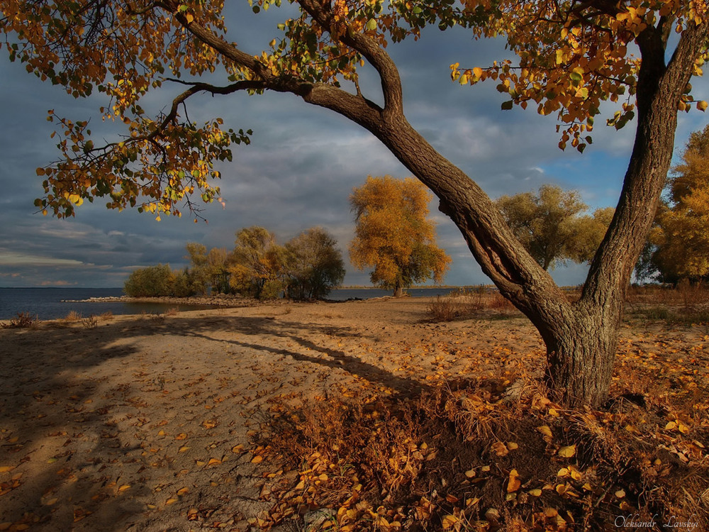 Фотографія Осінь кольору "Абрикос". / Лавський Олександр / photographers.ua