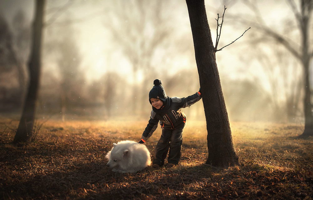Фотографія Все детские фотосъемки в одном альбоме / Alexandra Owak / photographers.ua