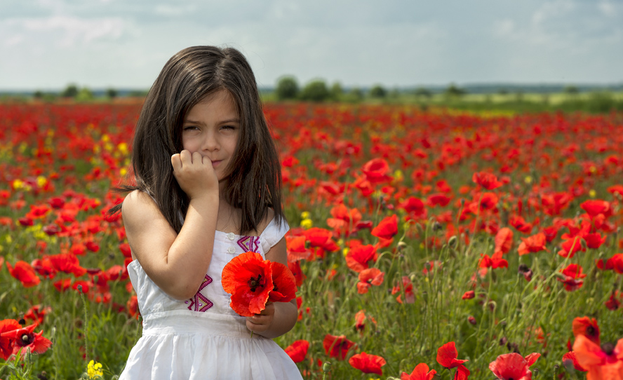 Фотографія Детский мир / Evelina Magaletskaya / photographers.ua