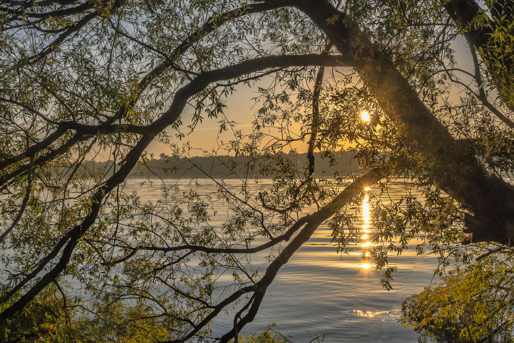 Фотографія Начало нового дня... Река  Обь... / amateur / photographers.ua