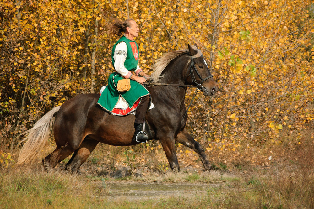 Фотографія Осенний всадник / Оксана Маховская / photographers.ua