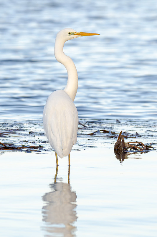 Фотографія Изгиб / Оксана Маховская / photographers.ua