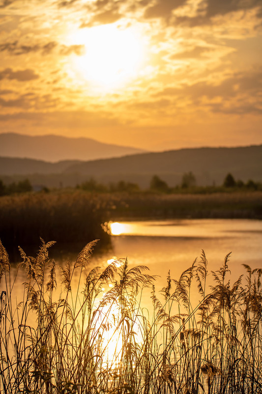 Фотографія Утро озера / Оксана Маховская / photographers.ua