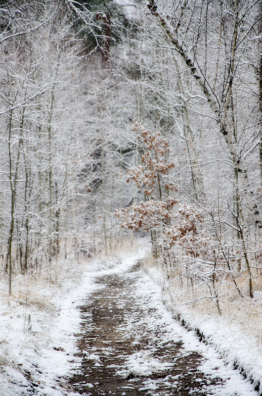 Фотографія Зимняя дорога в ноябре / Оксана Маховская / photographers.ua