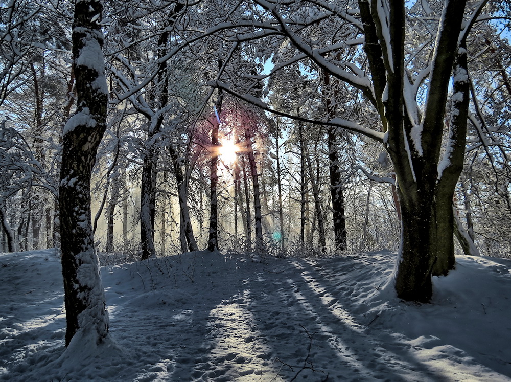 Фотографія Згадка про часи, коли зимою бував сніг / Ігор Мукалов / photographers.ua